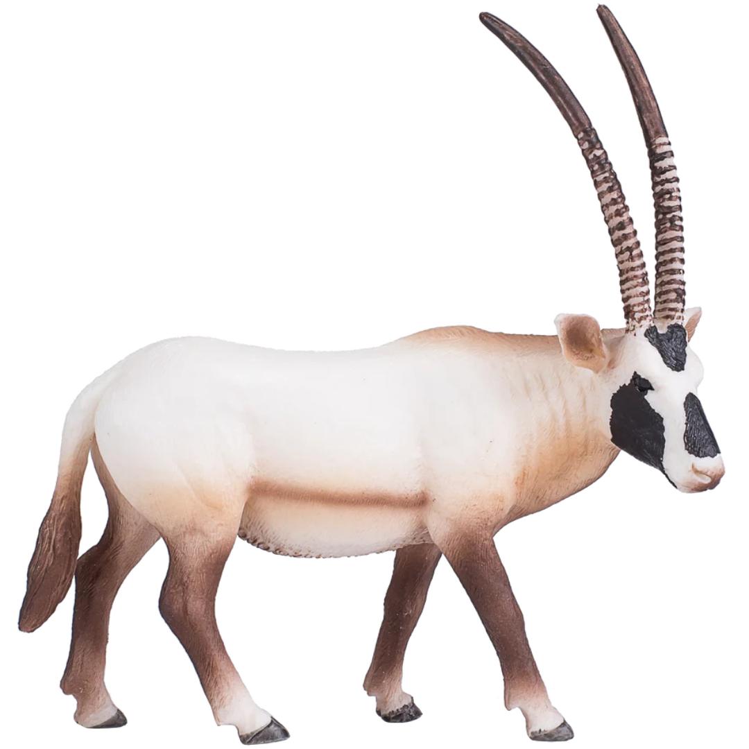Arabian Oryx - Mojo