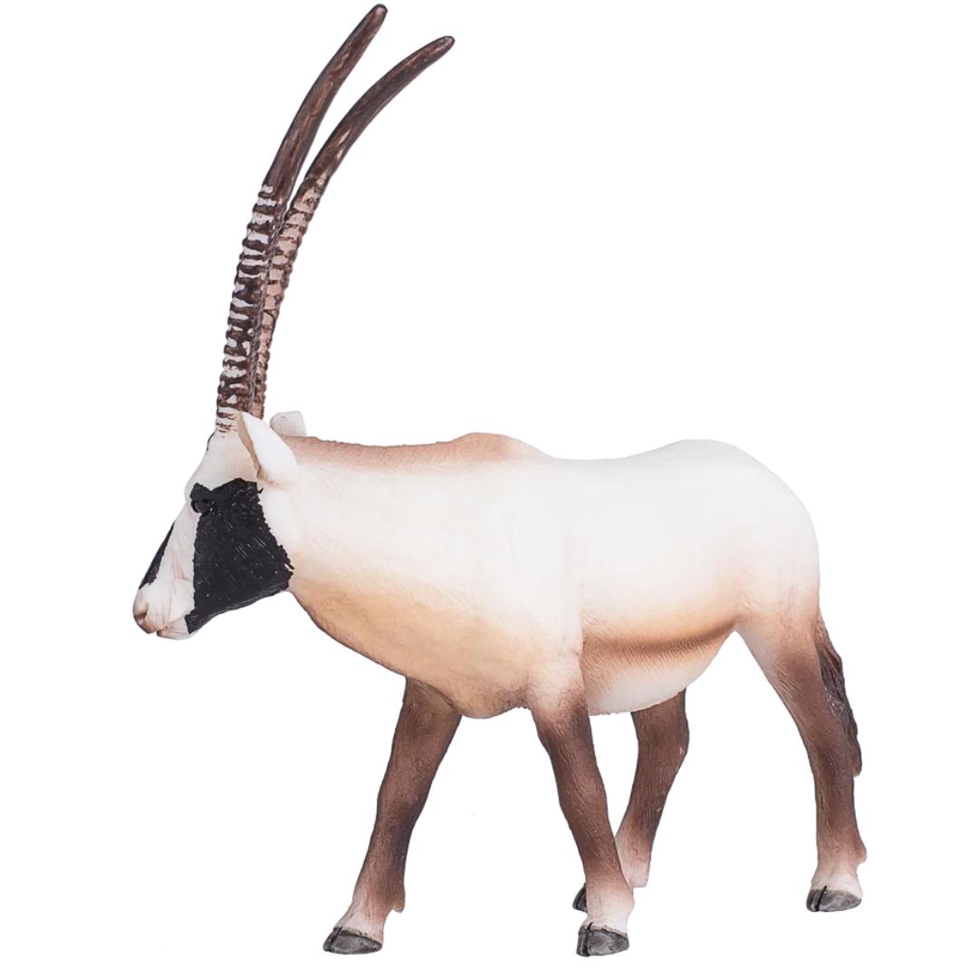 Arabian Oryx - Mojo