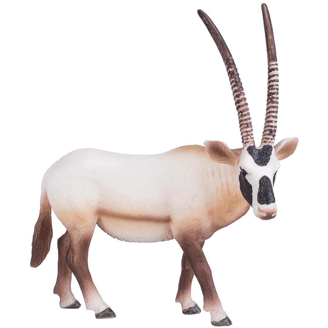 Arabian Oryx - Mojo