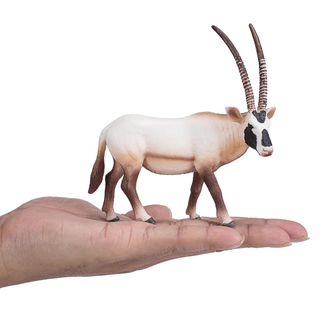 Arabian Oryx - Mojo