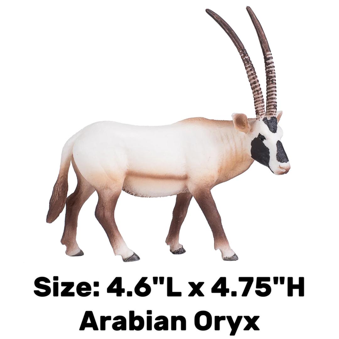 Arabian Oryx - Mojo