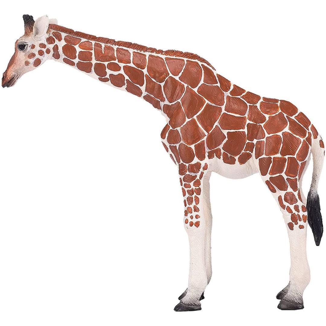 Female Giraffe - Mojo