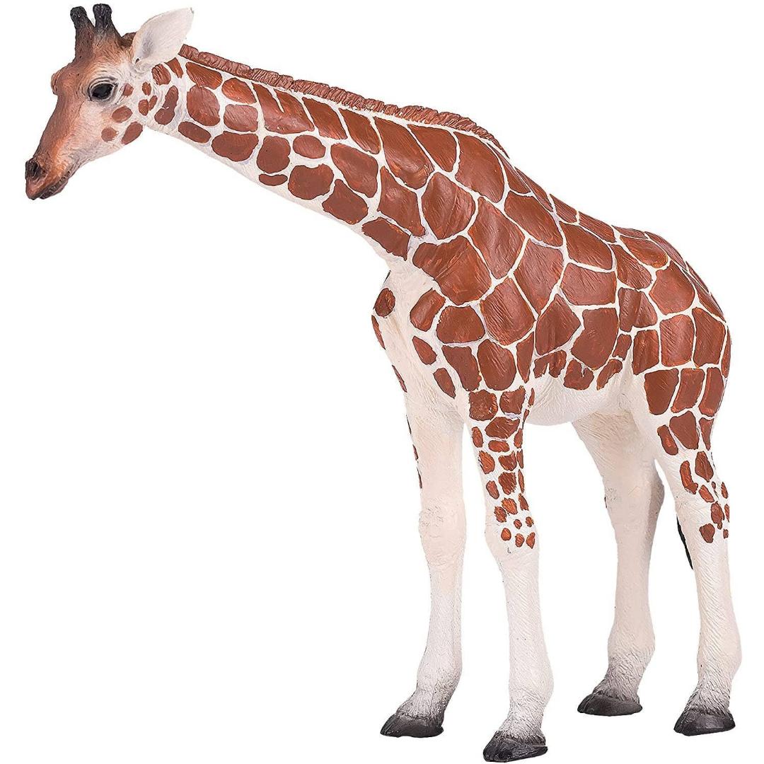 Female Giraffe - Mojo