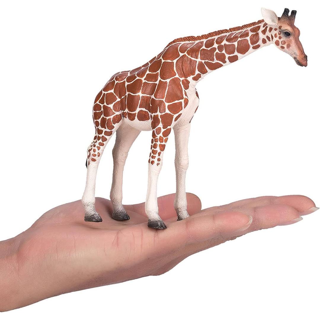 Female Giraffe - Mojo