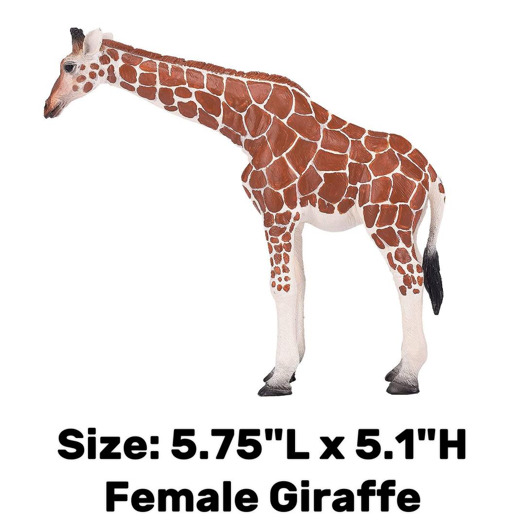 Female Giraffe - Mojo