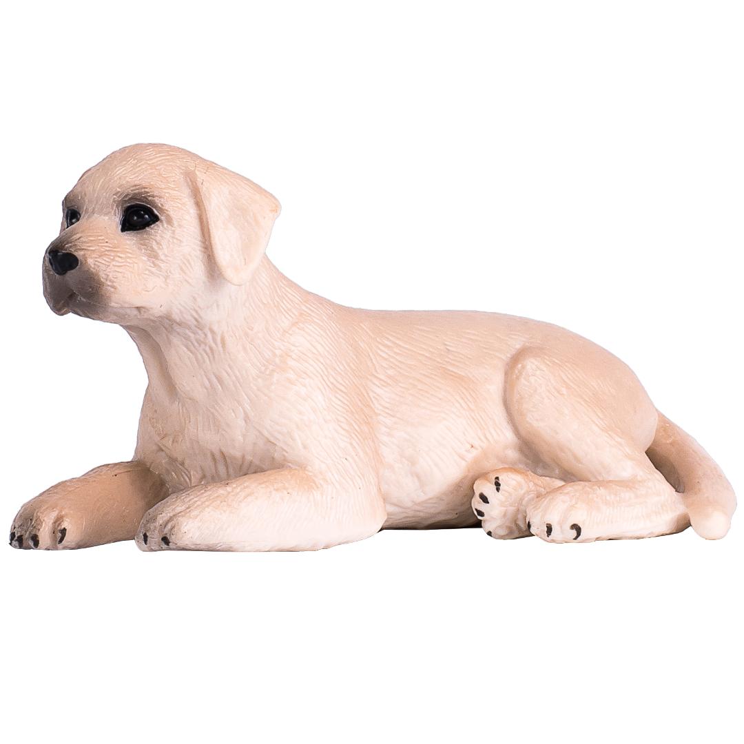 Labrador Puppy - Mojo