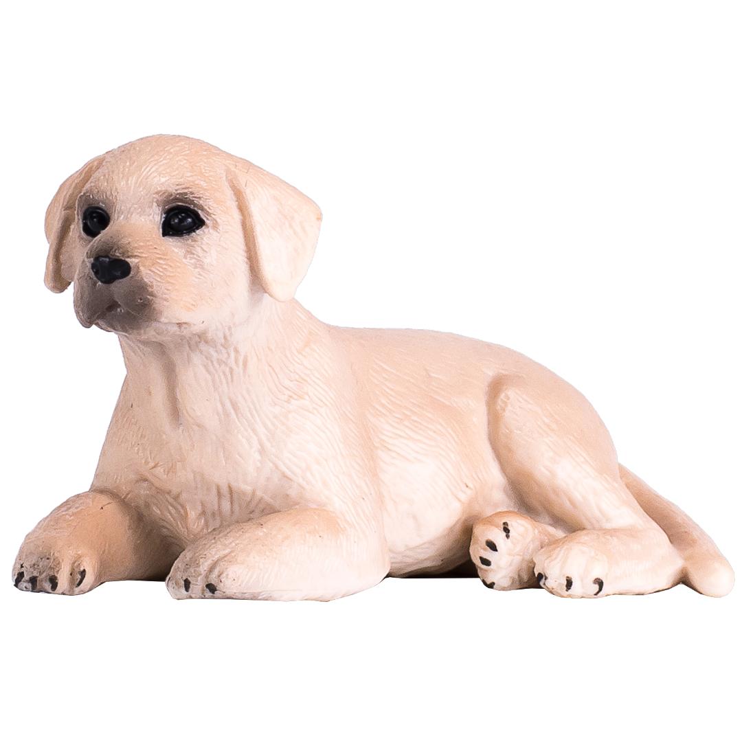 Labrador Puppy - Mojo