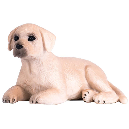 Labrador Puppy - Mojo