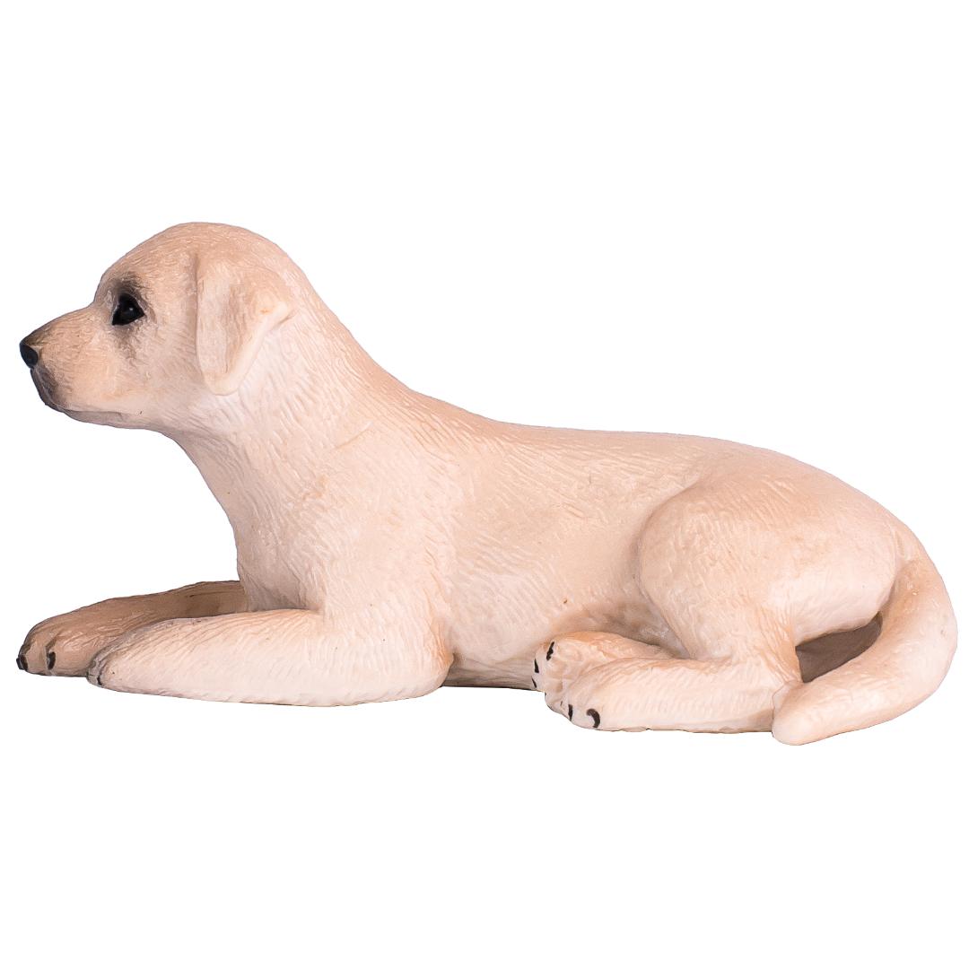 Labrador Puppy - Mojo