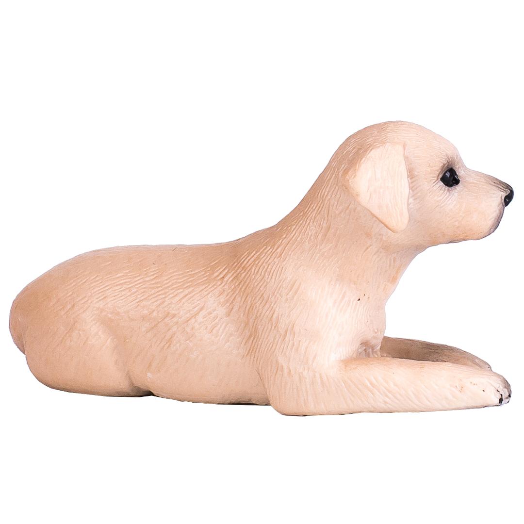 Labrador Puppy - Mojo