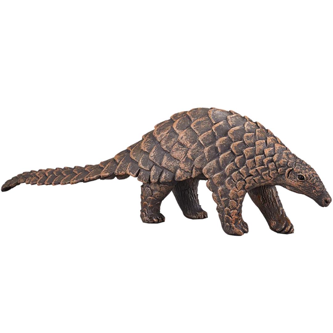 Indian Pangolin - Mojo