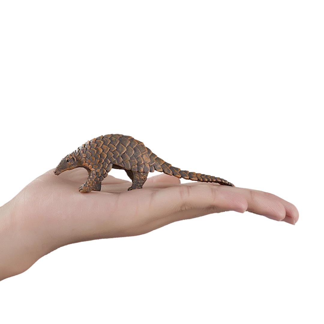 Indian Pangolin - Mojo