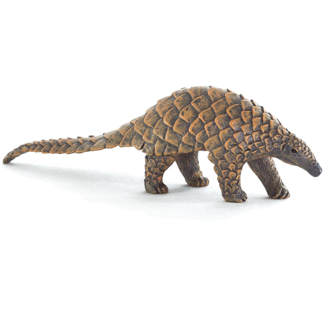 Indian Pangolin - Mojo