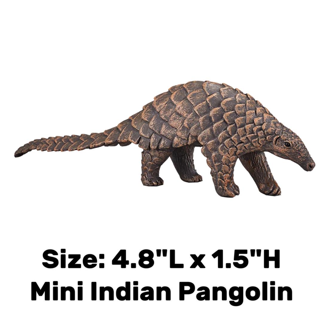 Indian Pangolin - Mojo