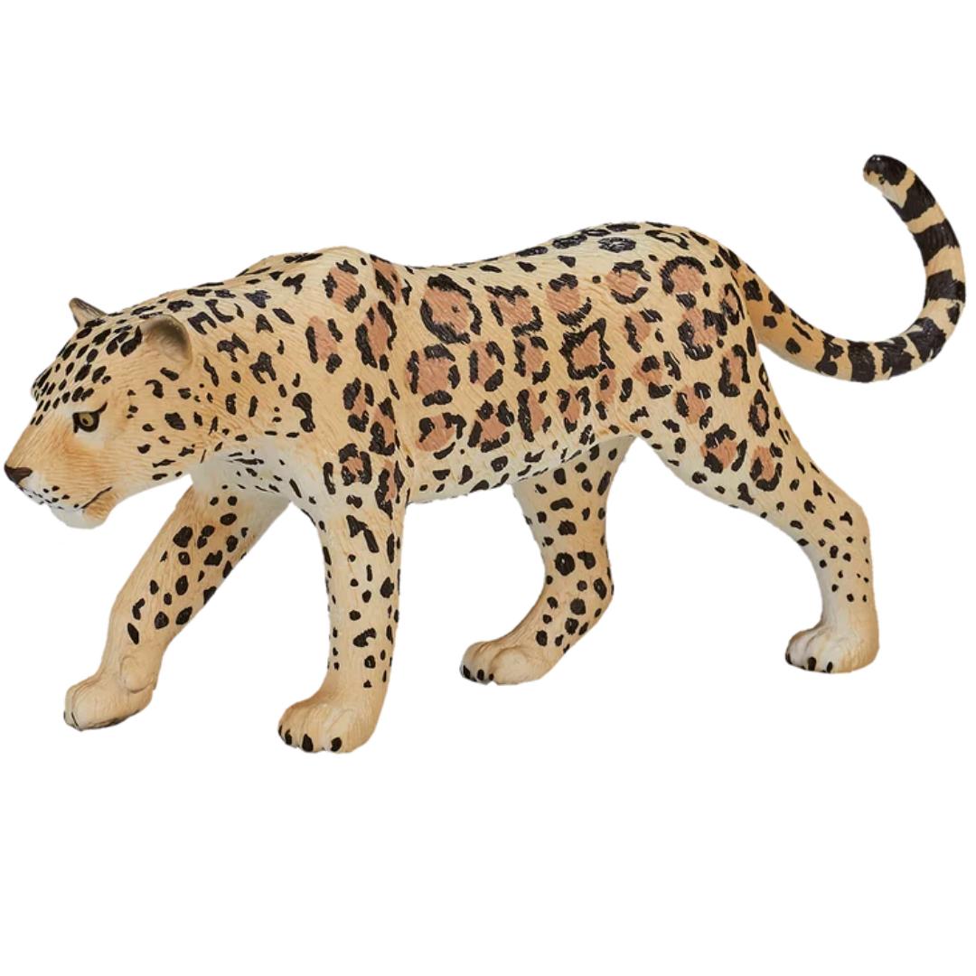 Leopard - Mojo