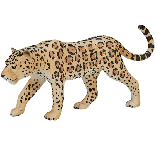 Leopard - Mojo