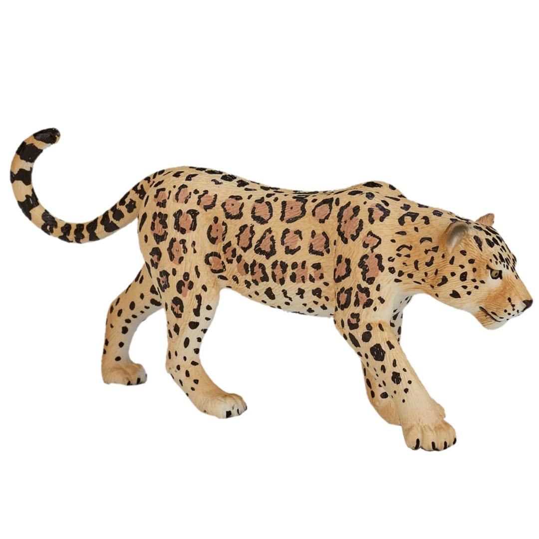 Leopard - Mojo