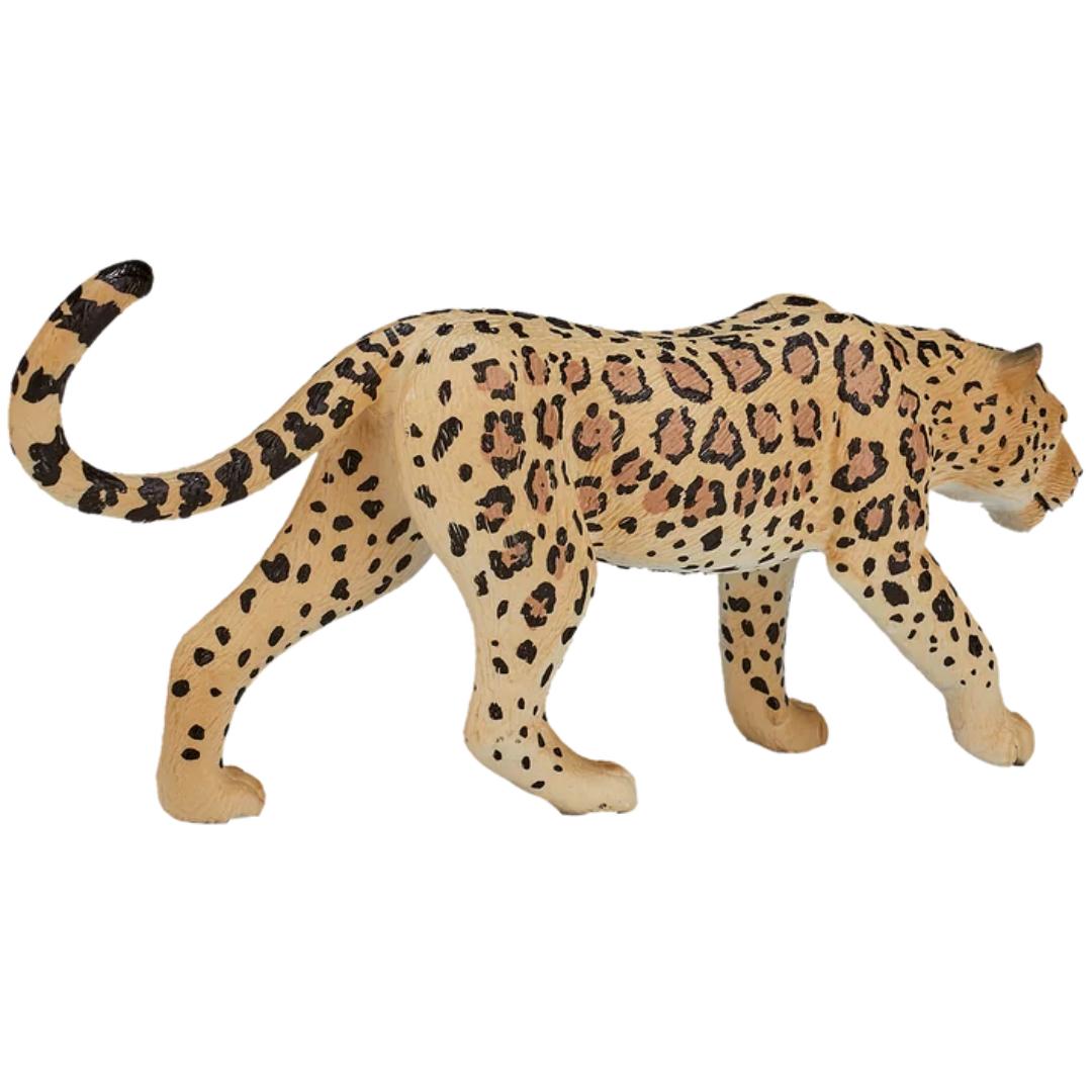 Leopard - Mojo