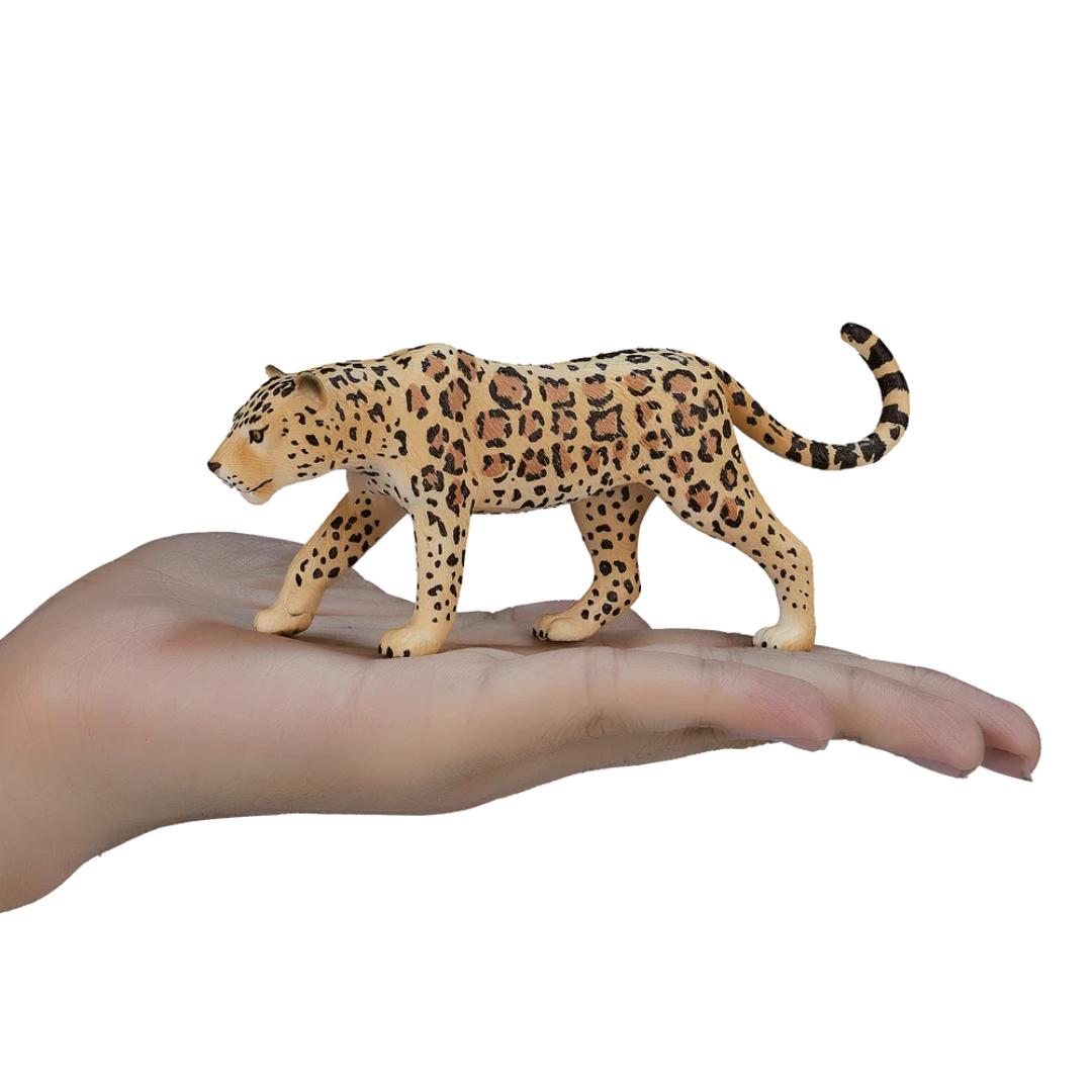 Leopard - Mojo