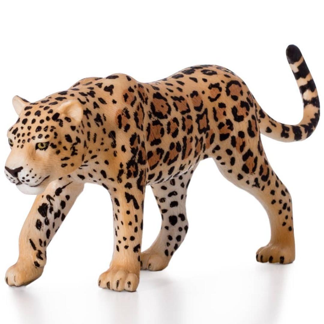 Leopard - Mojo
