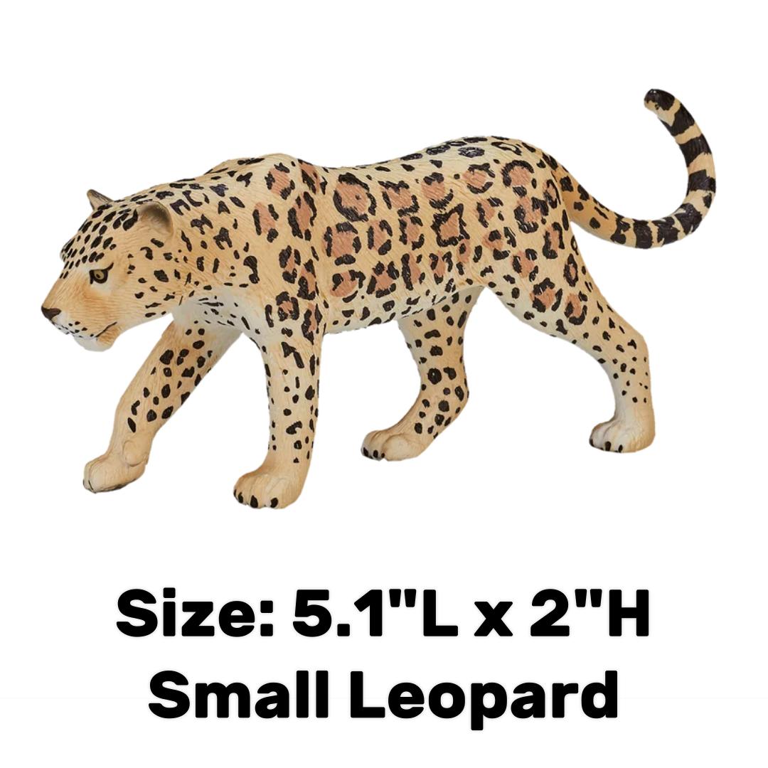Leopard - Mojo
