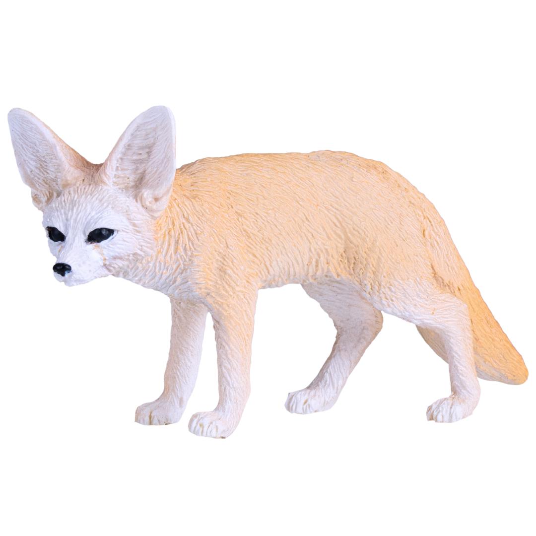 Fennec Fox - Mojo