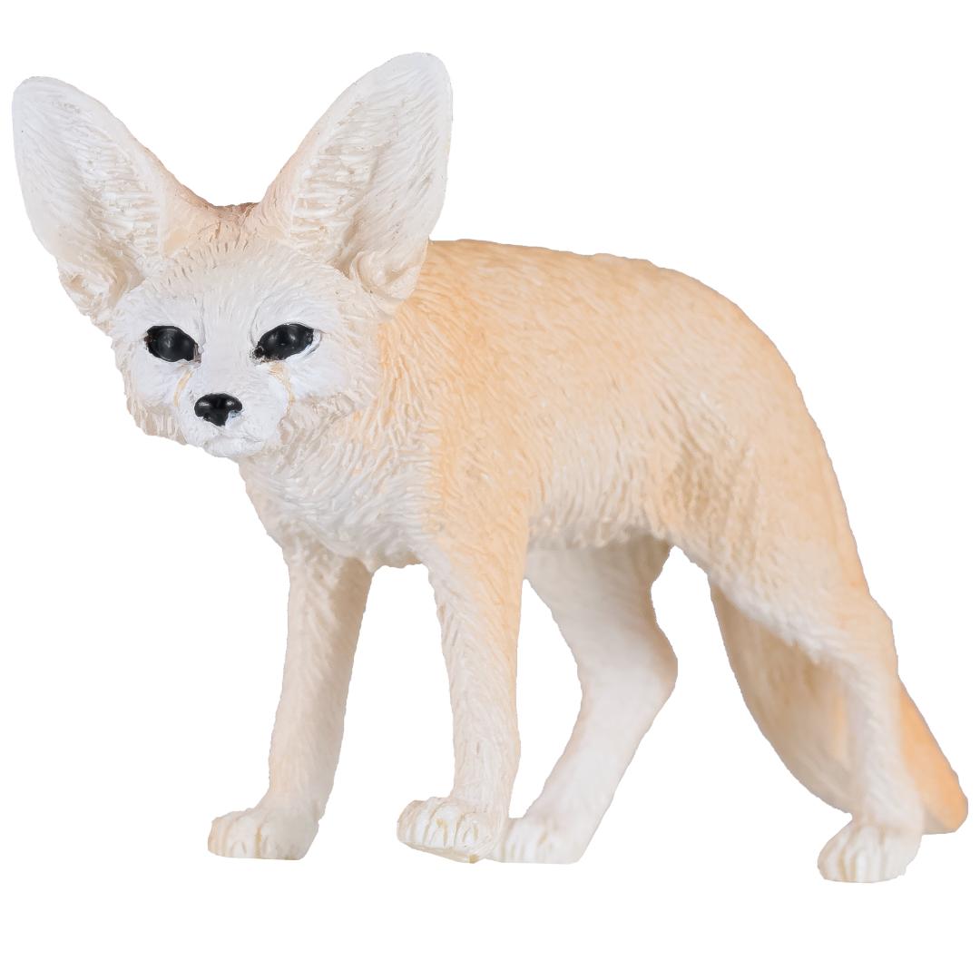 Fennec Fox - Mojo