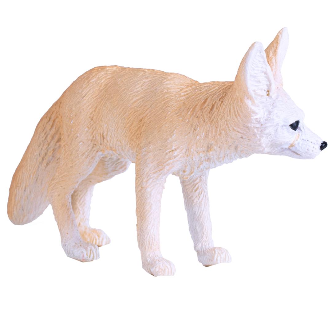 Fennec Fox - Mojo