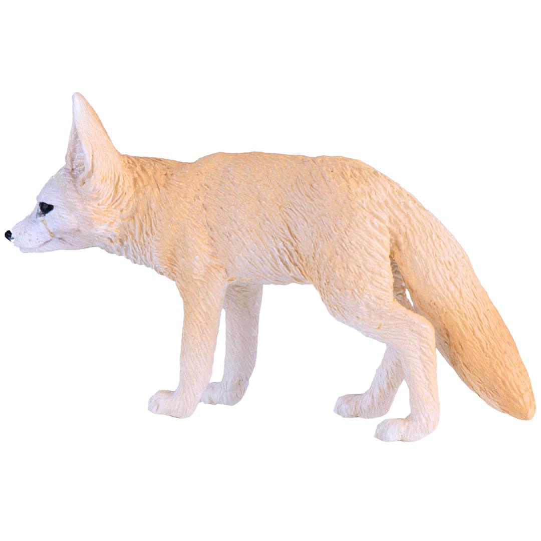 Fennec Fox - Mojo
