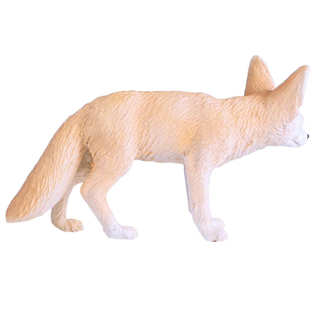Fennec Fox - Mojo