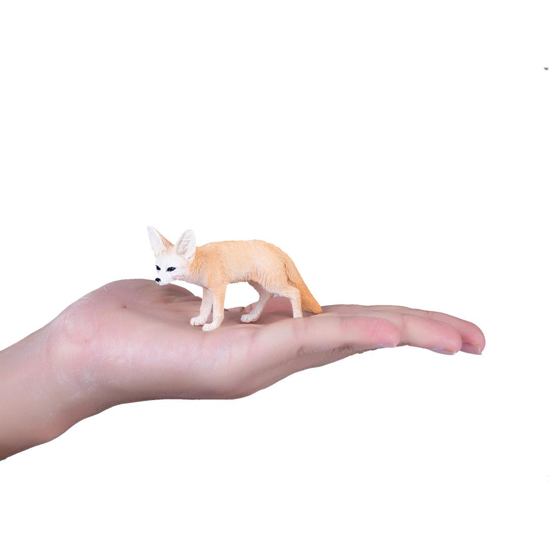 Fennec Fox - Mojo