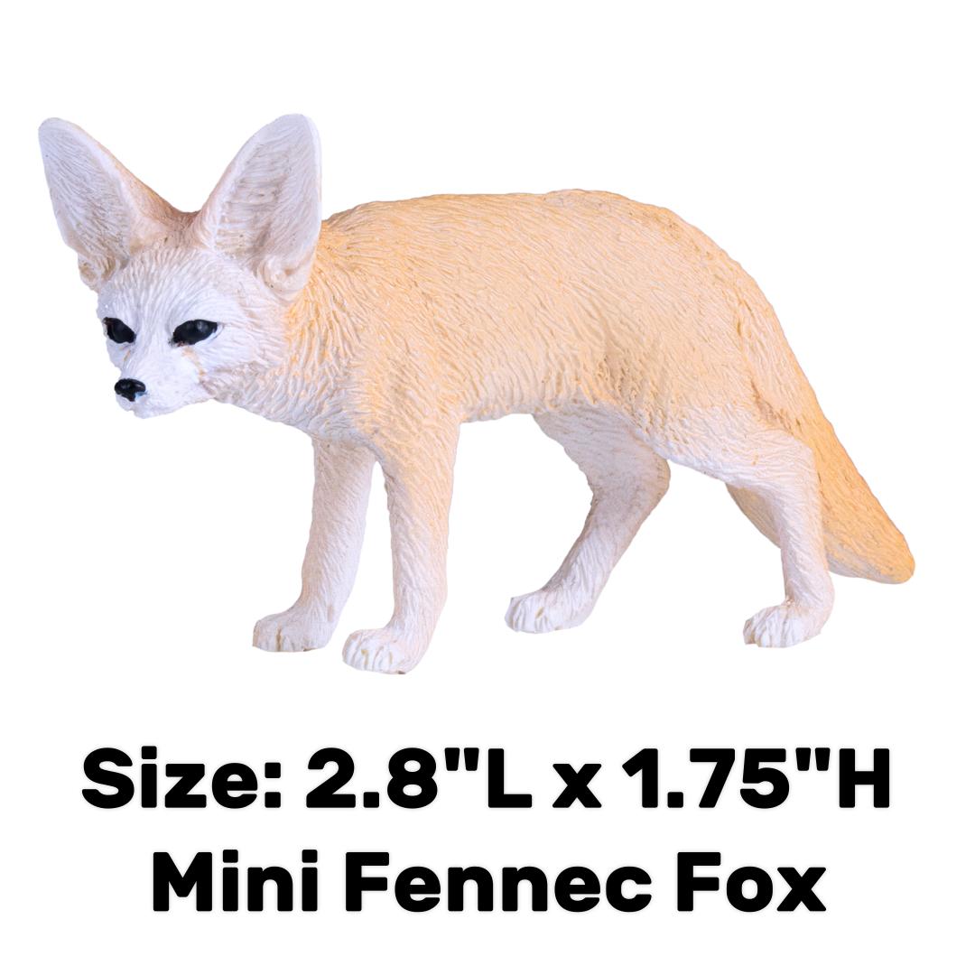 Fennec Fox - Mojo