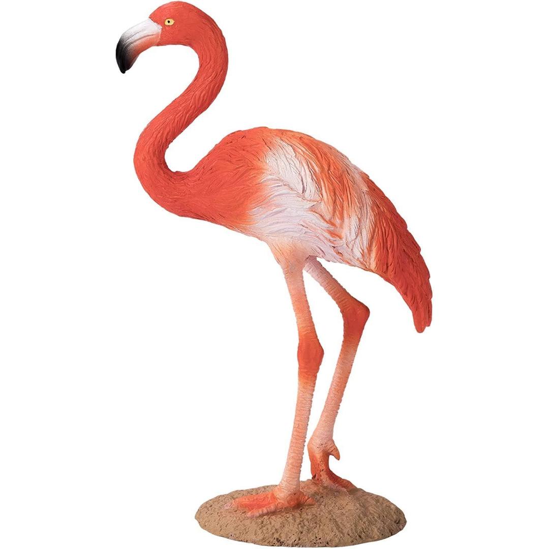 American Flamingo - Mojo