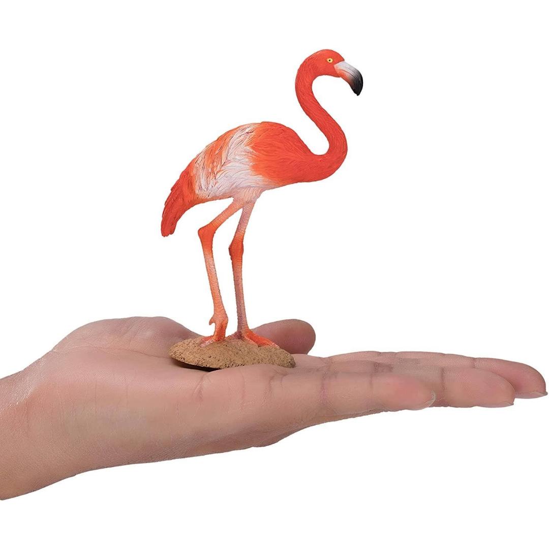 American Flamingo - Mojo