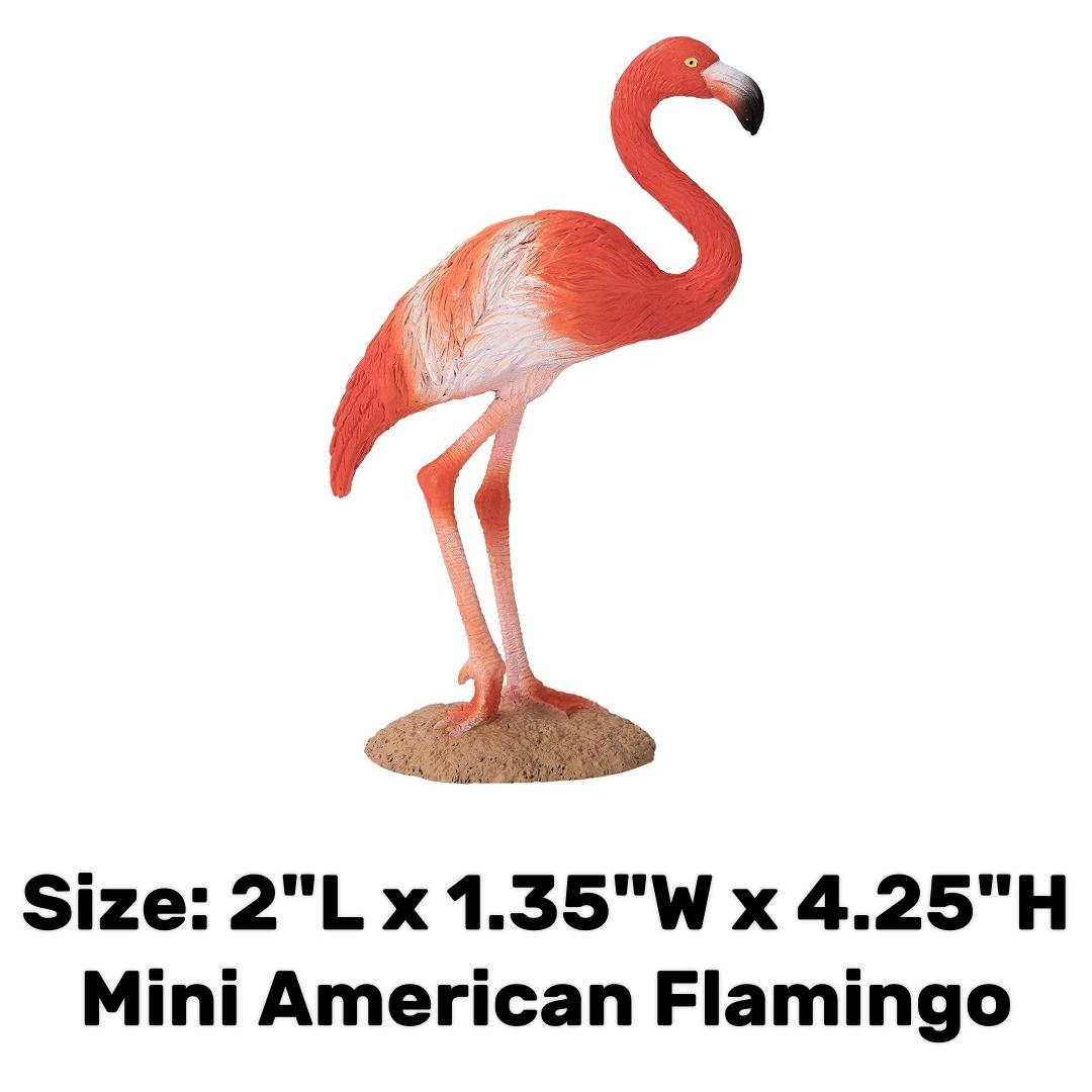 American Flamingo - Mojo
