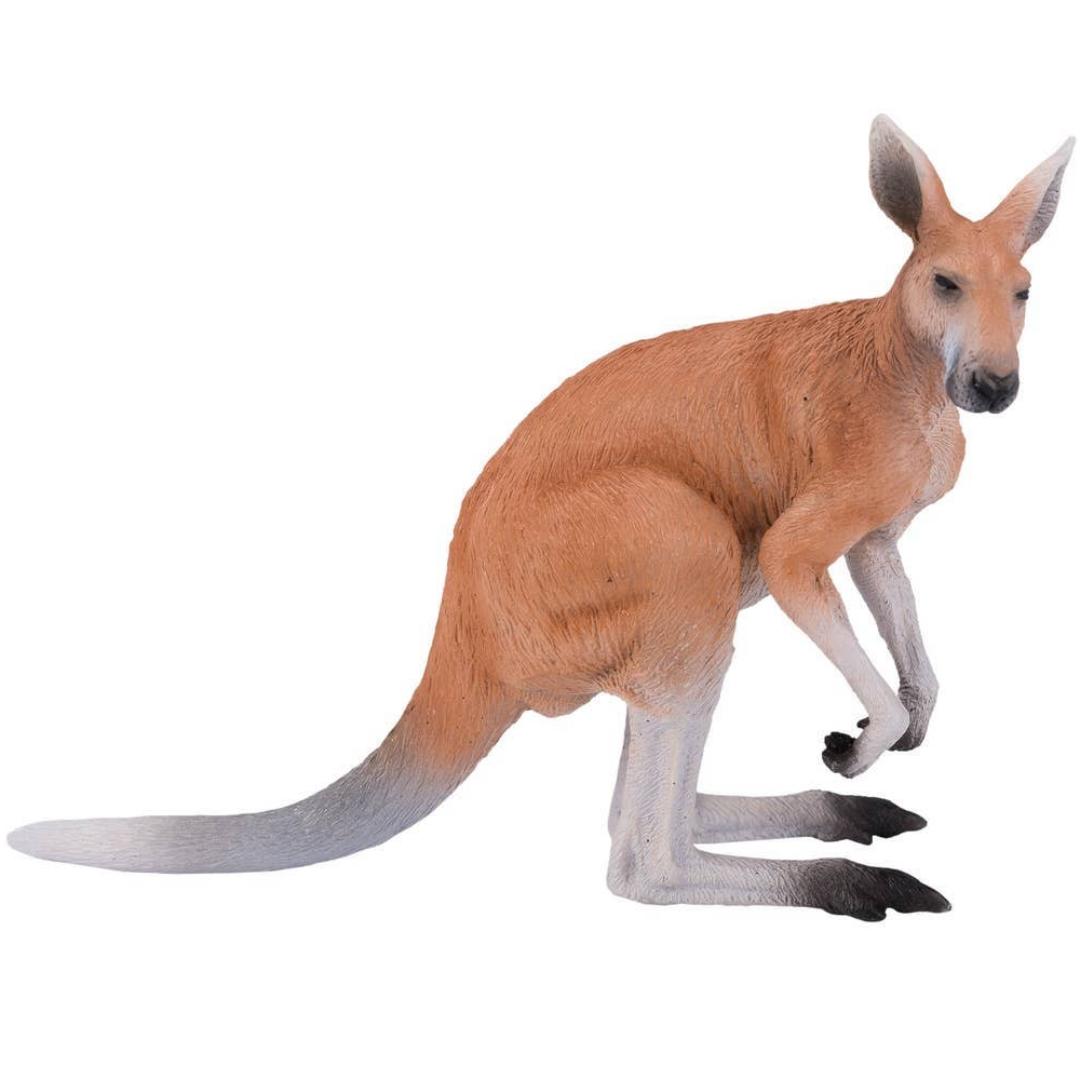 Kangaroo - Mojo