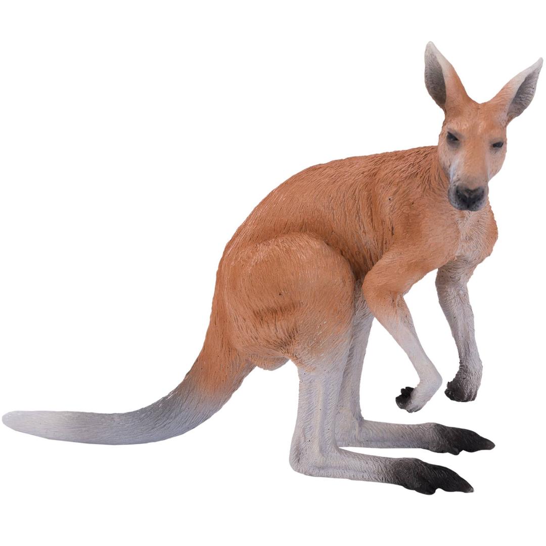 Kangaroo - Mojo