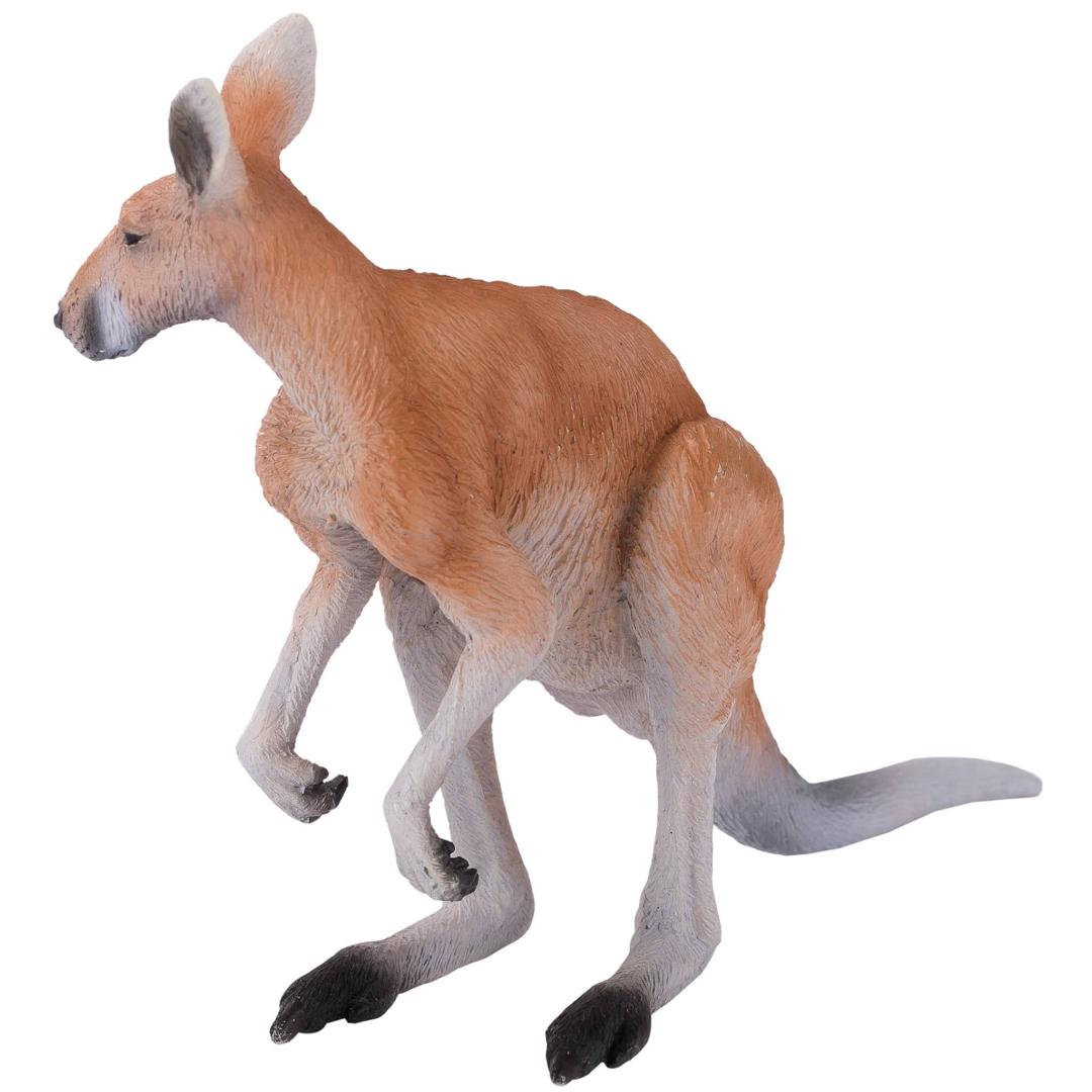 Kangaroo - Mojo