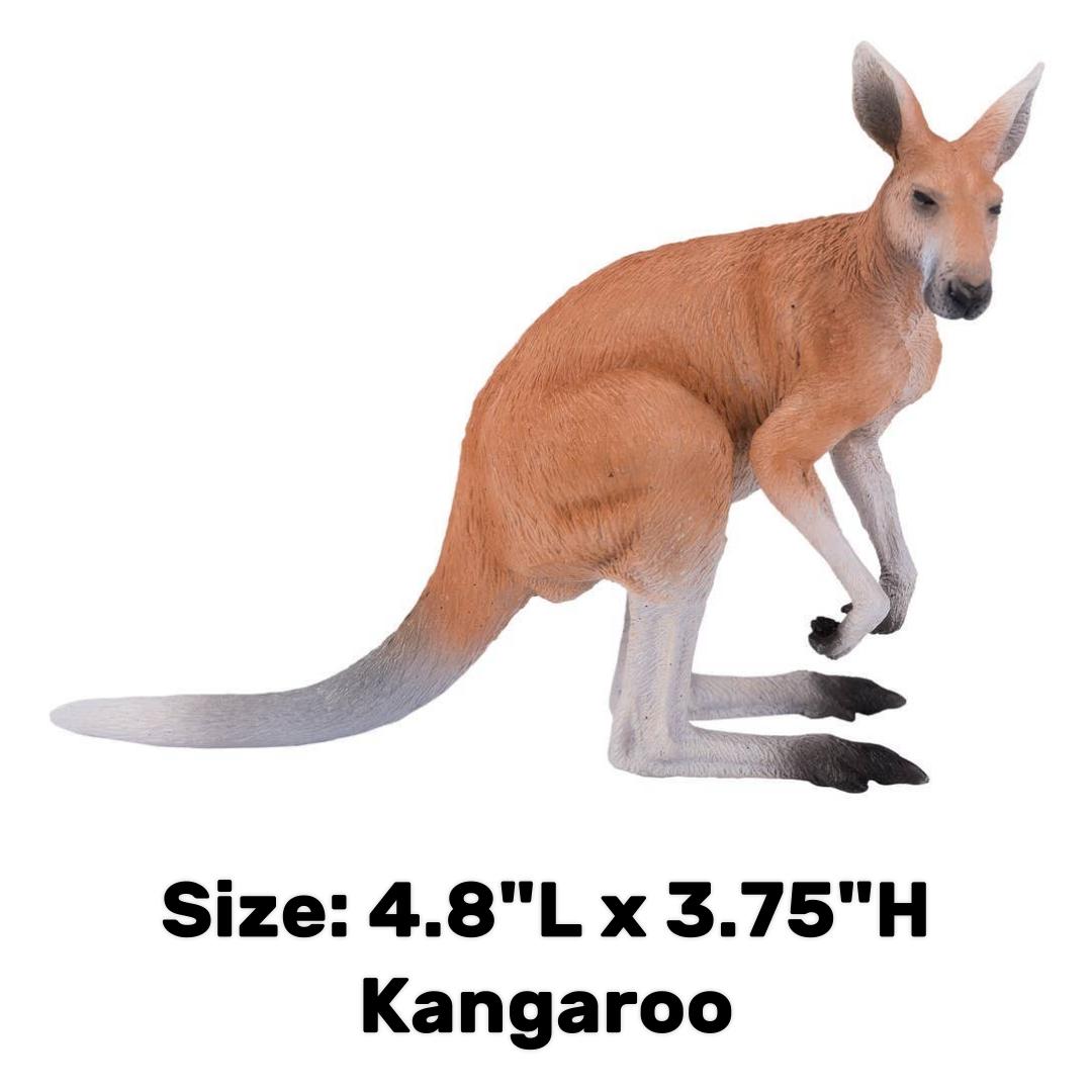 Kangaroo - Mojo