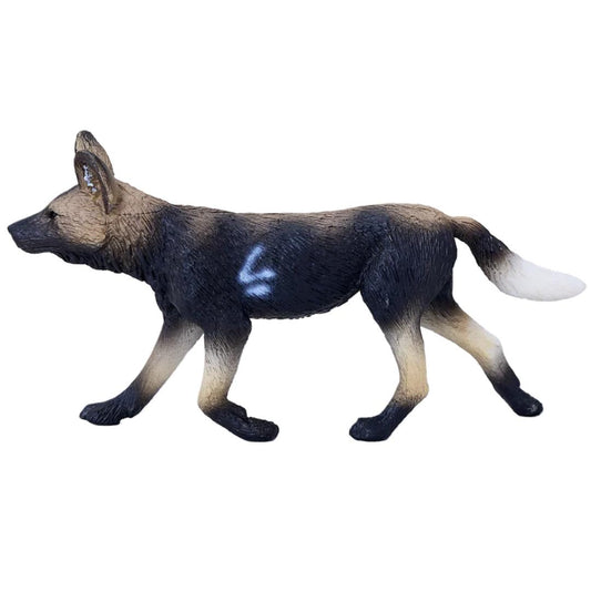 African Painted Dog - Mojo