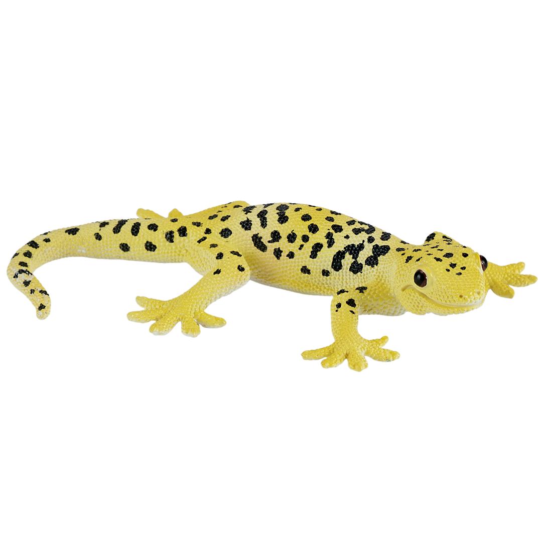 Leopard Gecko - Mojo