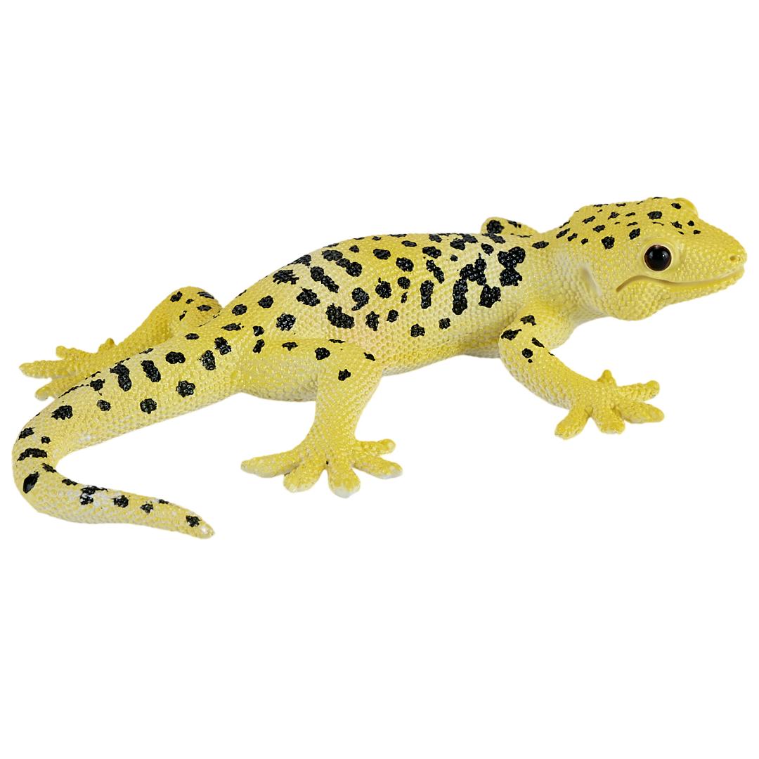 Leopard Gecko - Mojo