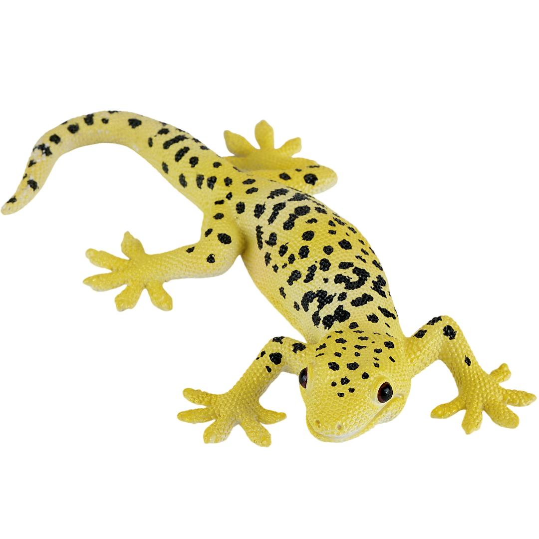 Leopard Gecko - Mojo