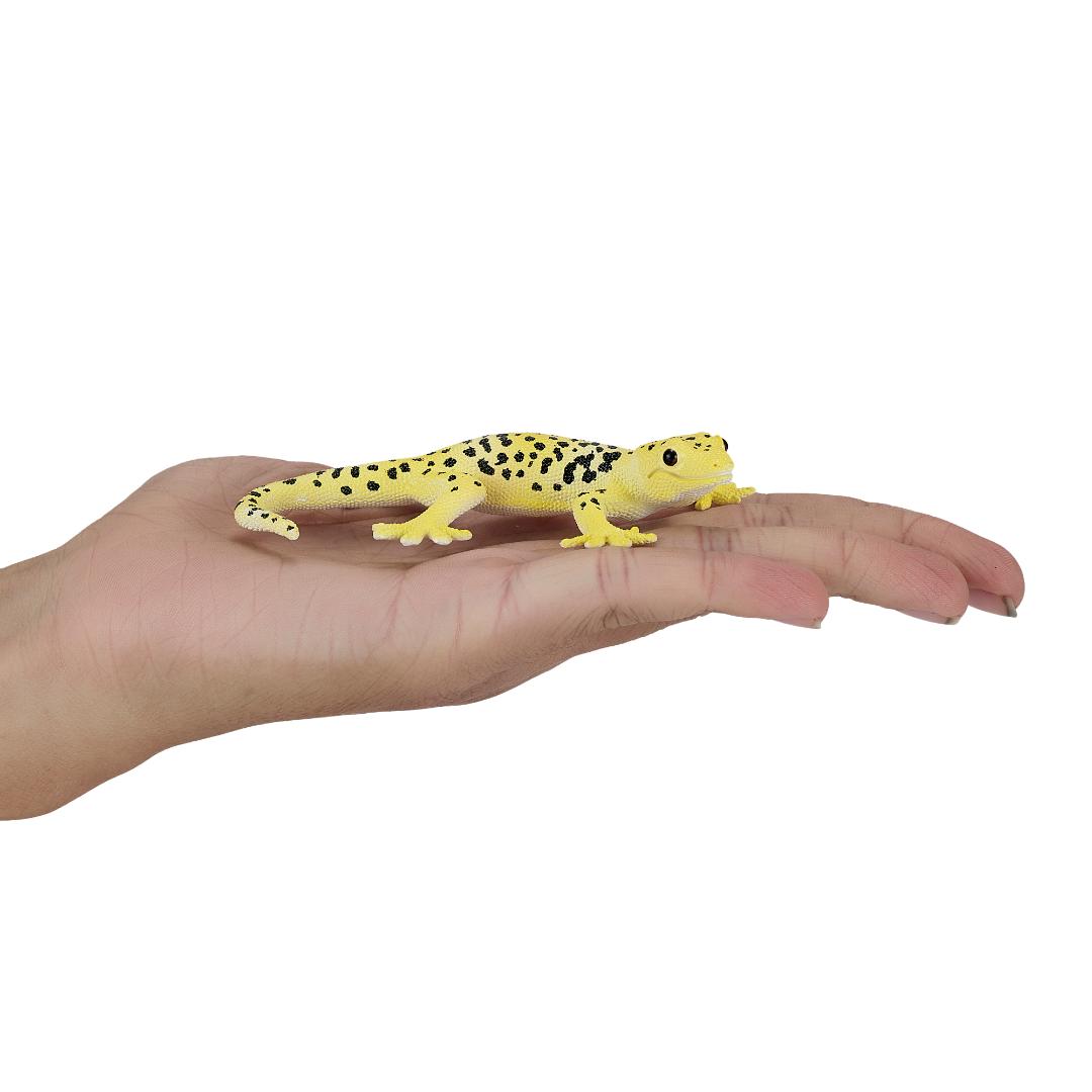 Leopard Gecko - Mojo