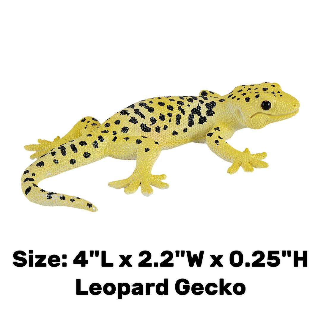 Leopard Gecko - Mojo