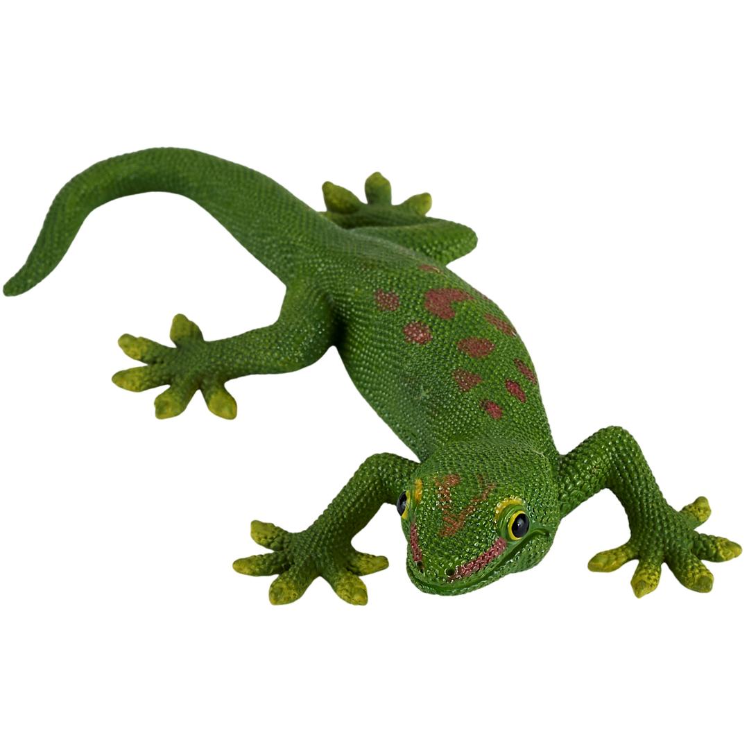 Gecko - Mojo