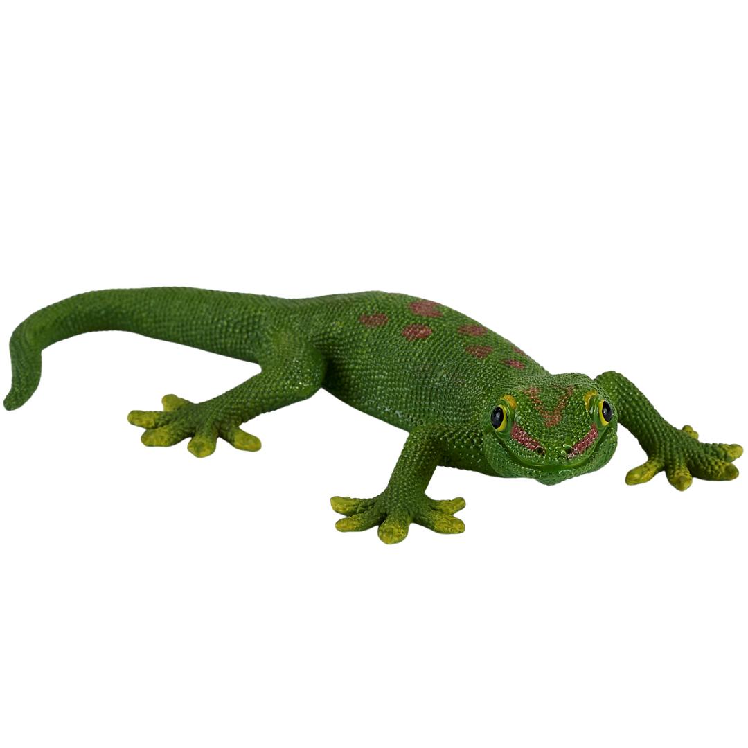 Gecko - Mojo