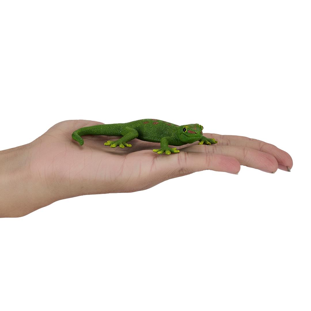 Gecko - Mojo