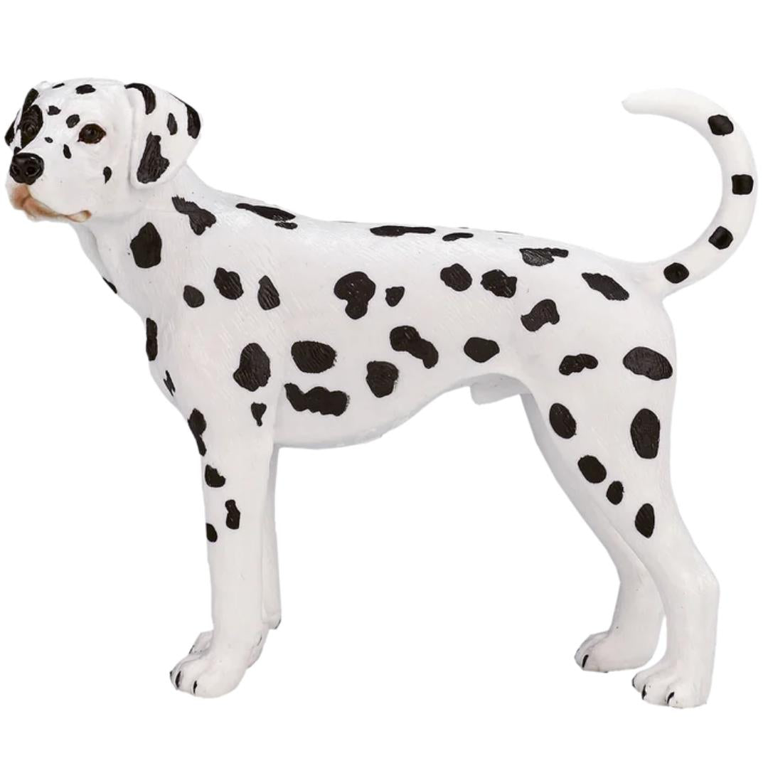 Dalmatian Dog - Mojo