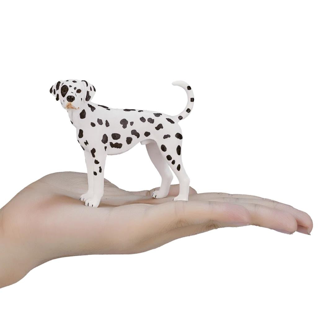 Dalmatian Dog - Mojo